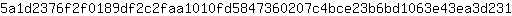 5***1