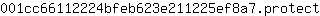 0***t