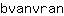 b***n