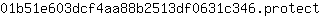 0***t