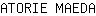 A***A