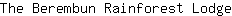 T***e
