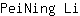 P***i