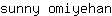 s***n