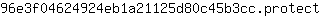 9***t