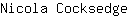 N***e