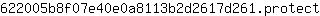 6***t