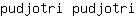 p***i