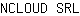 N***L