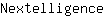 N***e