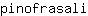 p***i