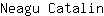 N***n