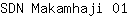 S***1