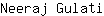 N***i
