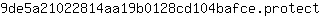 9***t