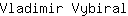 V***l