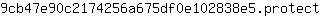 9***t