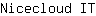 N***T