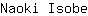 N***e