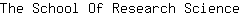 T***e