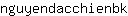 n***k