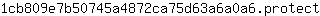 1***t