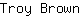 T***n