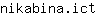 n***t