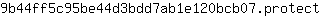 9***t
