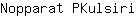 N***i