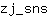 z***s
