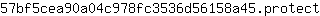 5***t