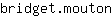 b***n