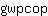 g***p