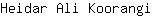 H***i