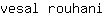 v***i