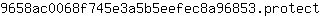 9***t