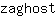 z***t