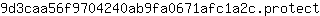 9***t