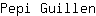 P***n