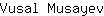 V***v