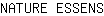 N***S