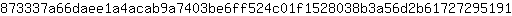 8***1