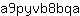 a***a