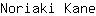 N***e