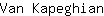 V***n