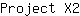 P***2