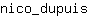 n***s