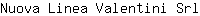 N***l