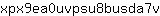 x***v